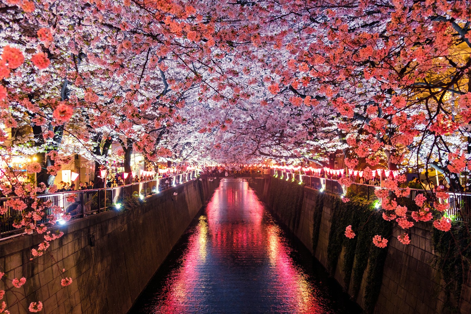 10 Most Beautiful Places in Japan