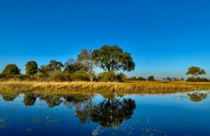 Okavango Delta, Botswana